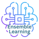 Ensemble Learning Training in Oman