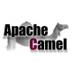 Apache Camel Training in Oman
