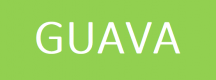 Guava Training in Oman