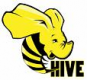 Hive Training in Oman