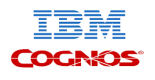 IBM Cognos Training in Oman