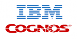 Image for IBM Cognos category