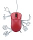 Web Services Training in Oman